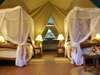 Mbuzi Mawe Tented Camp - Tent1